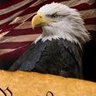 Me's profile picture
