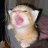 . / GN Zetarium's profile picture