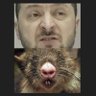 Zelenskyj = Brussels/NATO/Biden puppet 的头像