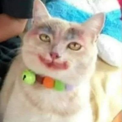ogatopiro's profile picture