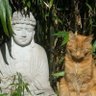 The Crypto Buddha profil fotoğrafı