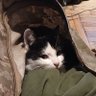 Innocent's profile picture
