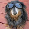 Ron K.'s profile picture