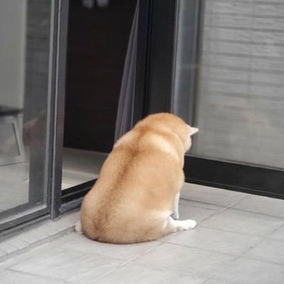 a. REST's profile picture