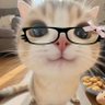 منــيرة's profile picture