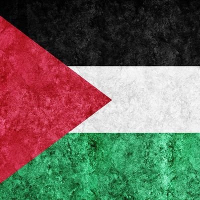 Juan Miguel Garrido 🇵🇸's profile picture