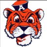 tigergrad 🇺🇸🇺🇸's profile picture