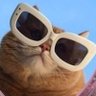 Profilbild von Panzy