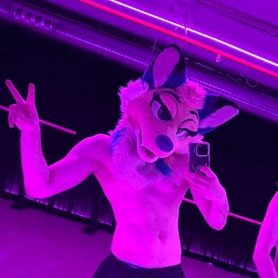 dingo pilled's profile picture