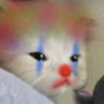 G4RY with a 四's profile picture