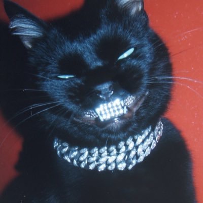CoolinRJ's profile picture