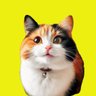fumi sato's profile picture
