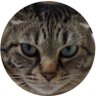 Profilbild von コウイチ