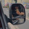 HAYL ALDAHASH's profile picture