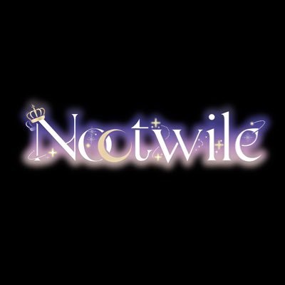 Noctwile 【公式】's profile picture