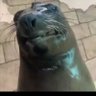 Wooky14's profile picture