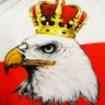 Profilbild von Kowalski 🇵🇱 Polska
