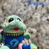 Фото профиля ⚽️いと🐢