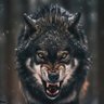 walker's profile picture
