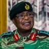 Friendly_Fire🇿🇼's profile picture