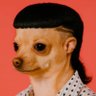 Profilbild von rsd