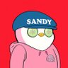 Sandy🧸's profile picture