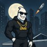 Profilbild von The Ghost Crypto