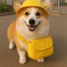 Profilbild von 比特币柯基