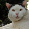 Profilbild von Mustahik