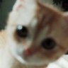 Profilbild von liny