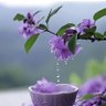 Fatima AL_ Hweitat profil fotoğrafı