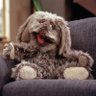 Фото профиля Mr.Floppy
