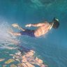 Kapal Laut profil fotoğrafı