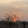Фото профиля علي الشهري - أبو يزيد الشهري