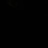 dodkod🤭's profile picture