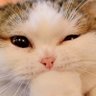 Profilbild von Kairayyaaa