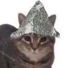Фото профиля chad tinfoil enjoyer