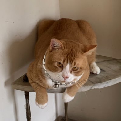 mbuy 😾's profile picture