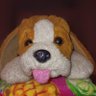 Profilbild von Cathy Proctor