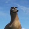 Profilbild von TubbySealSports