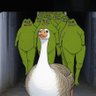 Profilbild von Goose🪿