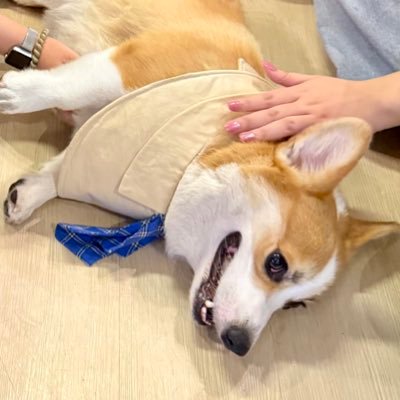 JJenxyanuch's profile picture