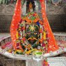 dhiraj kumar's profile picture
