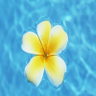 Profilbild von Sandra King