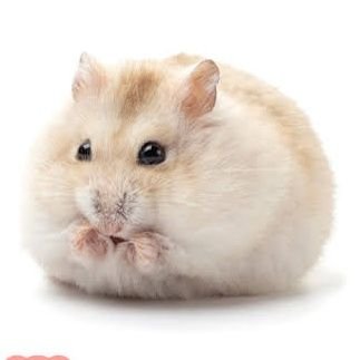 minimunu11's profile picture
