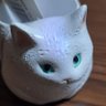 てん profil fotoğrafı