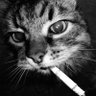 Profilbild von bedadimensi