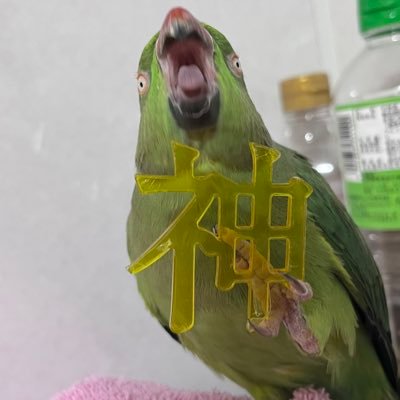 sekisei_115's profile picture