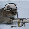 Фото профиля The militant Milkman