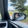 Nisagül profil fotoğrafı